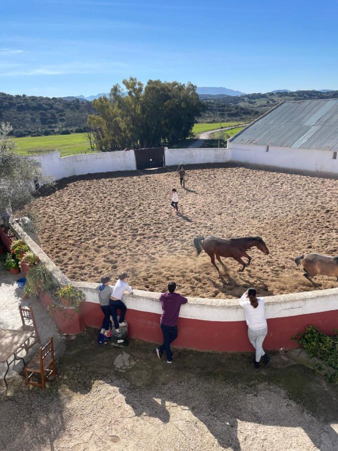 Casa Rural Finca De Las Encarnaciones Bajas Villanueva de San Juan Extérieur photo